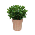 24" Laurel Bush in Matte Light Terracotta Ceramic