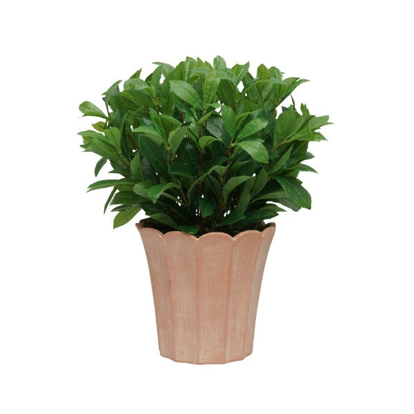 24" Laurel Bush in Matte Light Terracotta Ceramic