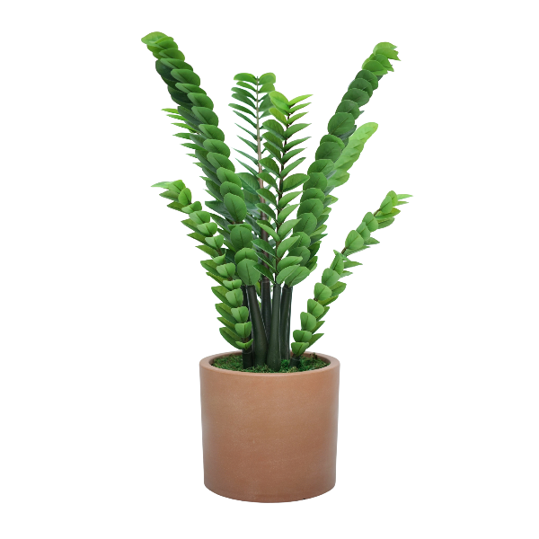 39" ZZ Plant in Matte Medium Terracotta Ceramic