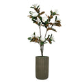 61" Magnolia Tree in Cement Gray Ceramic