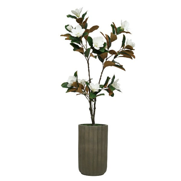 61" Magnolia Tree in Cement Gray Ceramic
