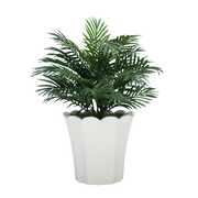 29" Parlor Palm in Glossy White Ceramic
