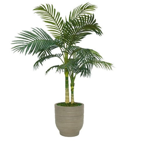 52" Golden Cane Palm in Cement Gray Ceramic