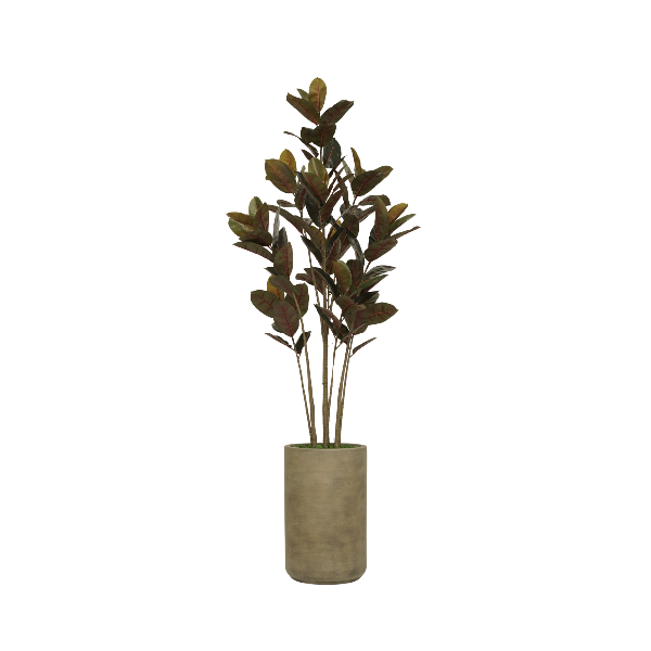 78" Rubber Tree in Cement Gray Ceramic