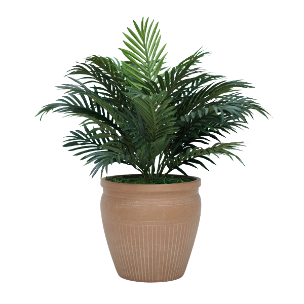 31" Parlor Palm in Matte Medium Terracotta Ceramic