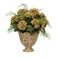 30" Hydrangea Rabe in Natural Hyacinth Basket