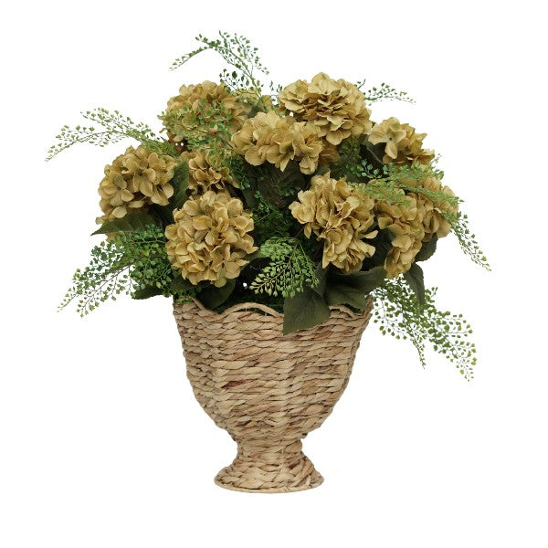 30" Hydrangea Rabe in Natural Hyacinth Basket
