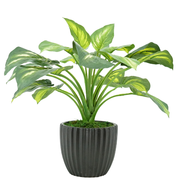 23" Faux Hosta in Matte Black Ribbed Ceramic