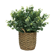 24" Eucalyptus Bush in Natural Seagrass Basket