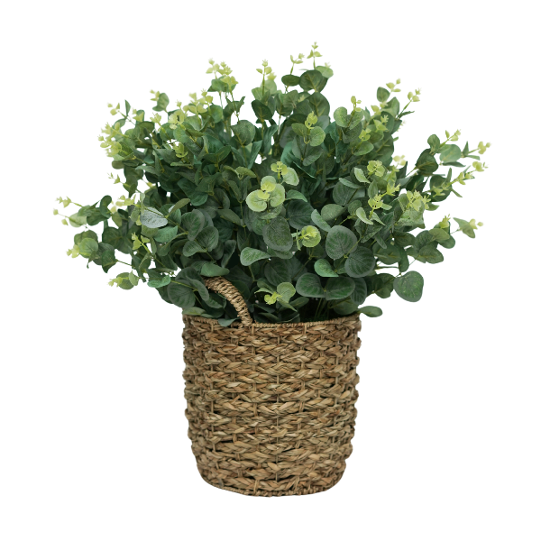 24" Eucalyptus Bush in Natural Seagrass Basket