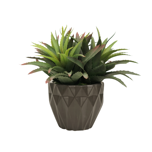 14" Agave Red Tipped Leaf in Matte Black Ceramic