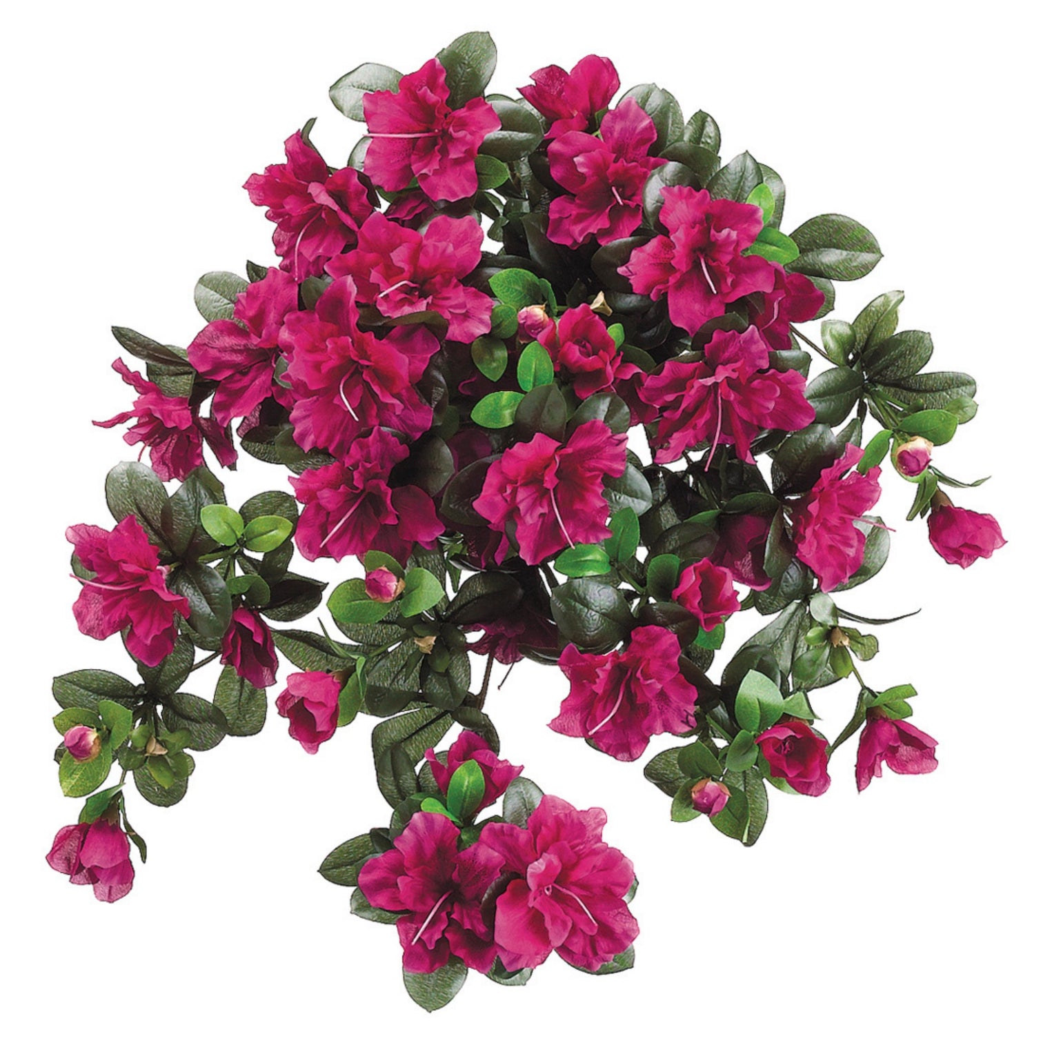 Artificial 24 Inch Azalea Trailing Bush Set Of 6 House Of Silk Flowers   HAB942 CE1x3000 1512x 