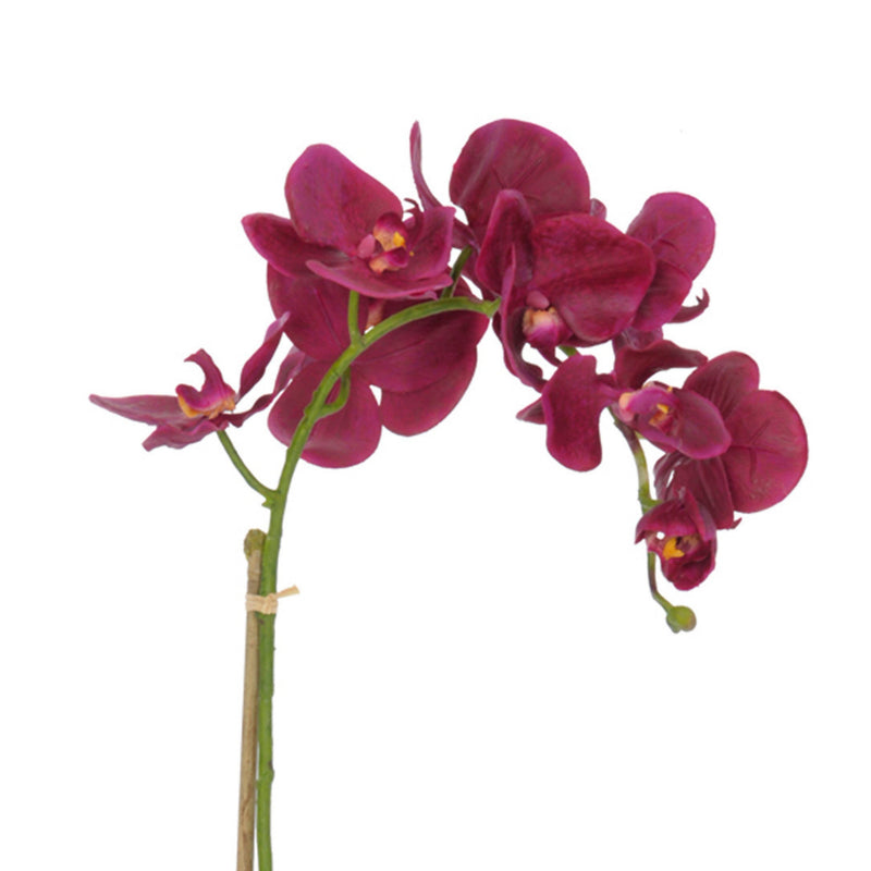 Artificial Phalaenopsis Orchid in Black Ceramic Urn
