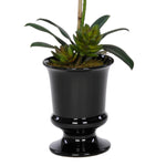 Artificial Phalaenopsis Orchid in Black Ceramic Urn