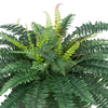 Artificial Fern in Small Washed Wood Planter