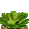 Artificial Echevaria Succulent in Olive Green Ceramic Vase