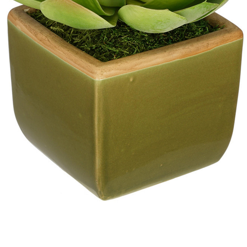 Artificial Echevaria Succulent in Olive Green Ceramic Vase