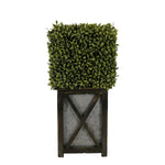 Faux Boxwood Square Topiary in Crisscross Stout Wood/Metal