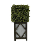 Faux Boxwood Square Topiary in Diamond Stout Wood/Metal
