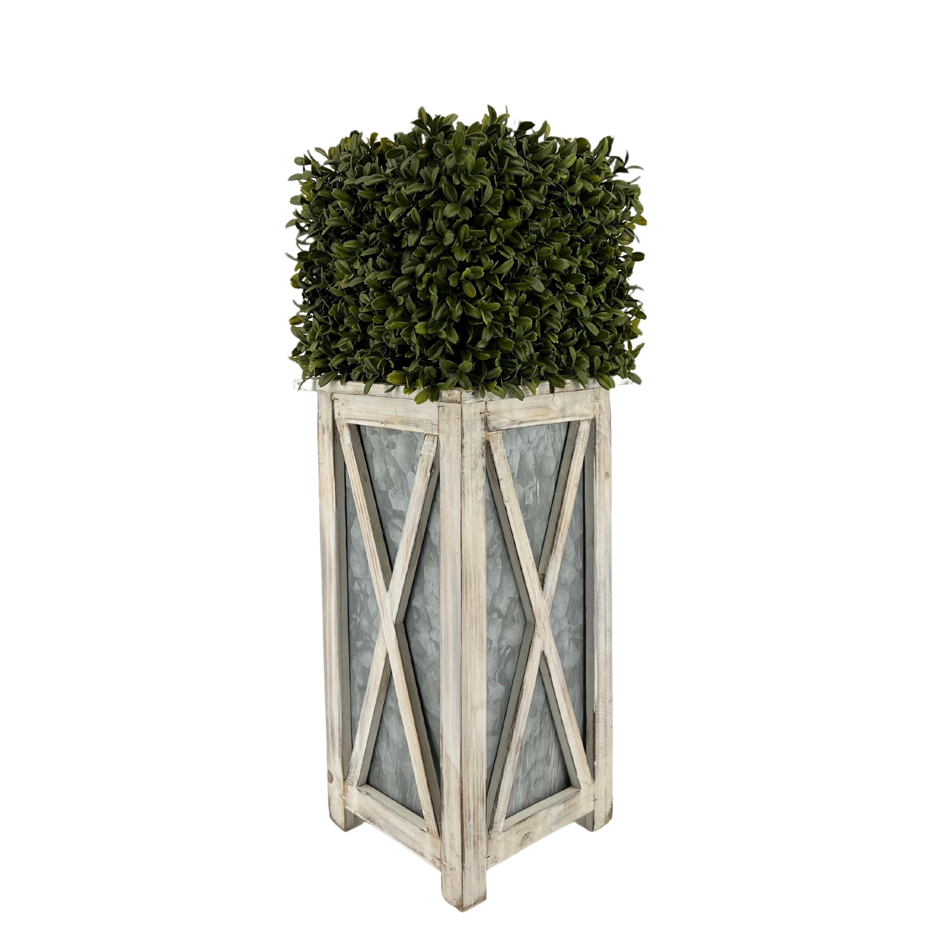 boxwood-half-ball-13509gn.jpg?