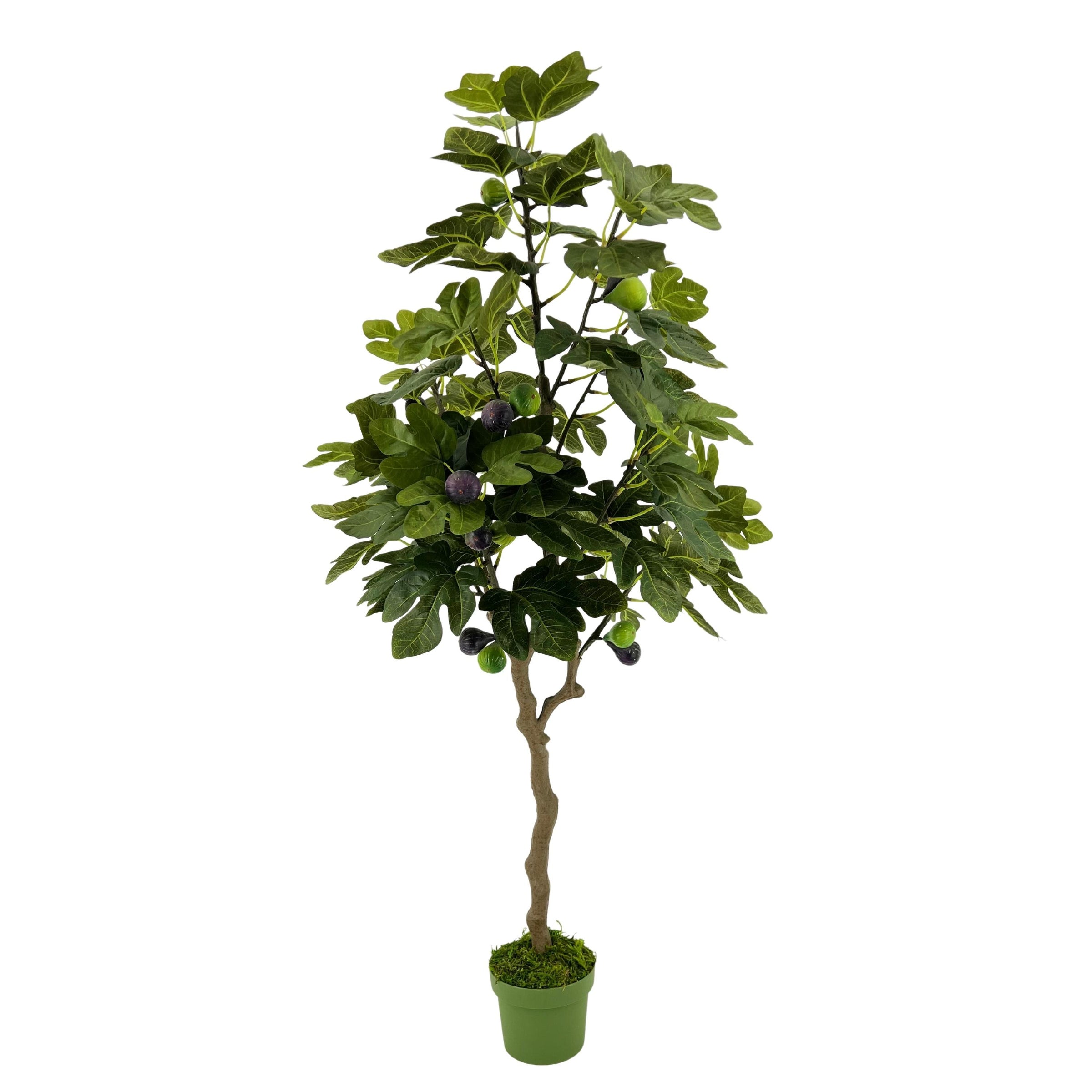 Faux 4ft Fig Tree – House of Silk Flowers®