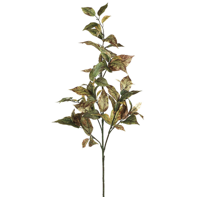 Artificial 32" Green Brown Coffee Leaf Spray (Set of 2) - House of Silk Flowers®
