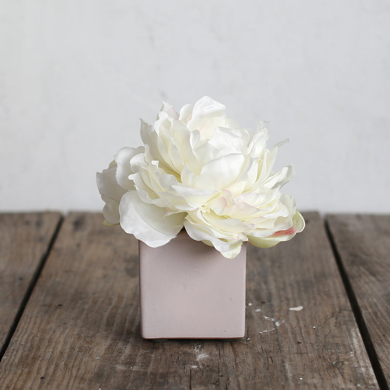 Shabby Chic® White Peony in Blush Ceramic Cube Vase