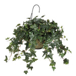 Artificial English Ivy Hanging Basket - House of Silk Flowers®
