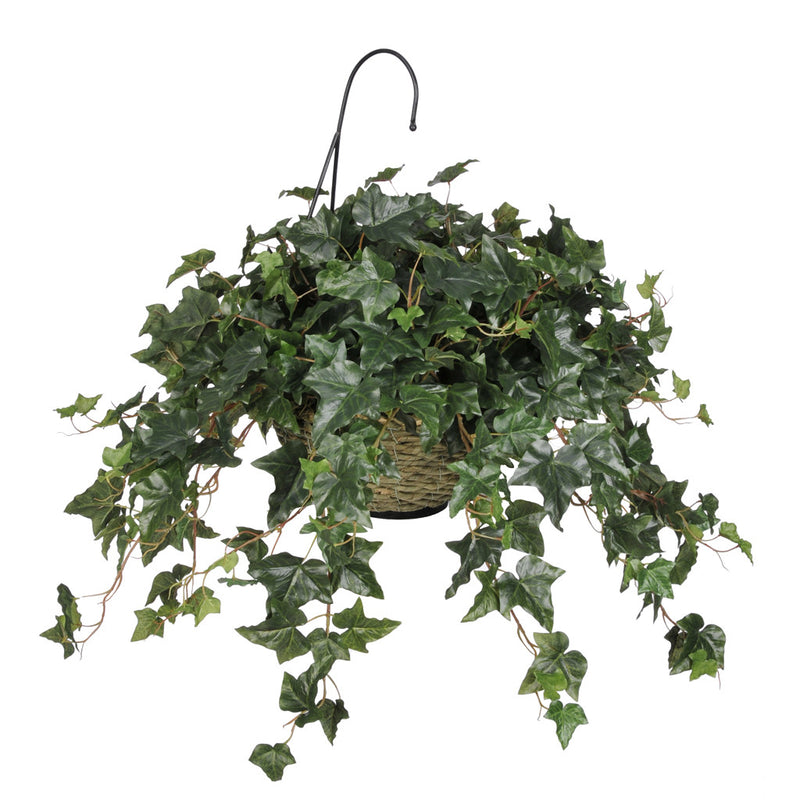 Artificial English Ivy Hanging Basket - House of Silk Flowers®

