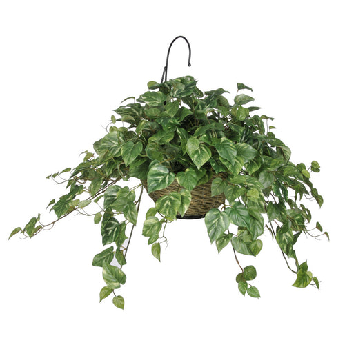 Artificial Pothos Hanging Basket - House of Silk Flowers®
