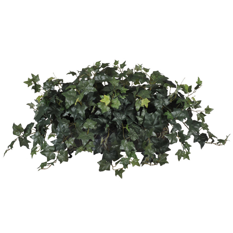 Artificial English Ivy in Ledge - House of Silk Flowers®
 - 2