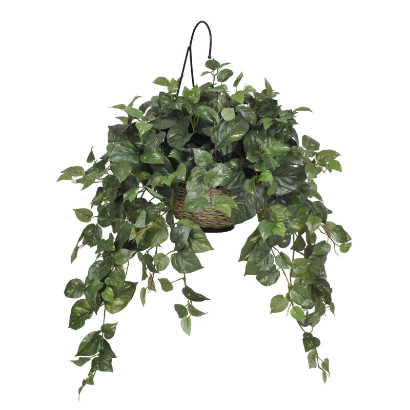 Artificial Pothos Hanging Basket - House of Silk Flowers®
