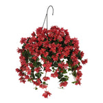 Hanging basket with watermelon red flowers on a white background