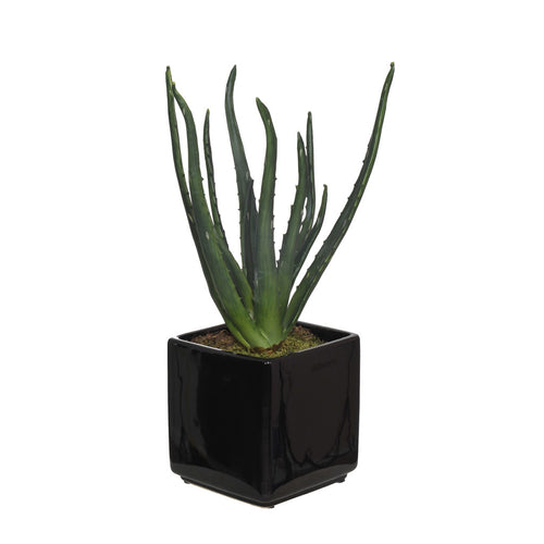 Artificial Aloe in Cube Ceramic Vase - House of Silk Flowers®
 - 1
