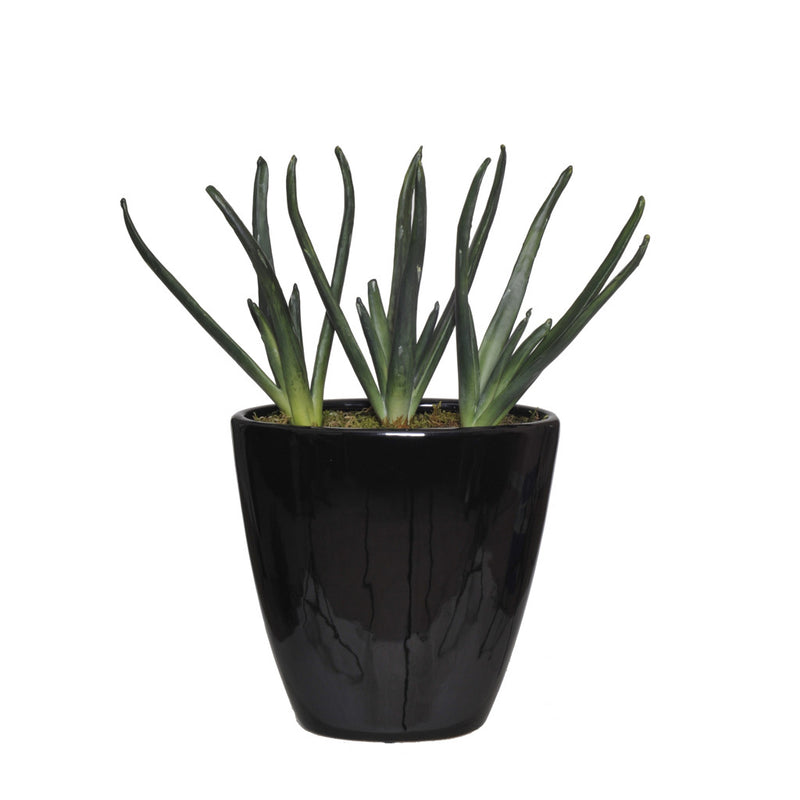 Artificial Baby Aloe Garden in Black Ceramic - House of Silk Flowers®
