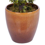 Artificial 2-foot Double Ball Topiary in Pot