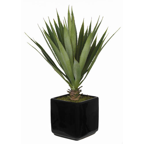 Artificial Baby Yucca in Cube Vase - House of Silk Flowers®
 - 1