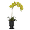 Artificial Phalaenopsis Orchid in Black Ceramic Urn - House of Silk Flowers®
 - 2