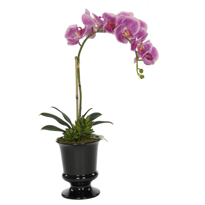 Artificial Phalaenopsis Orchid in Black Ceramic Urn - House of Silk Flowers®
 - 4