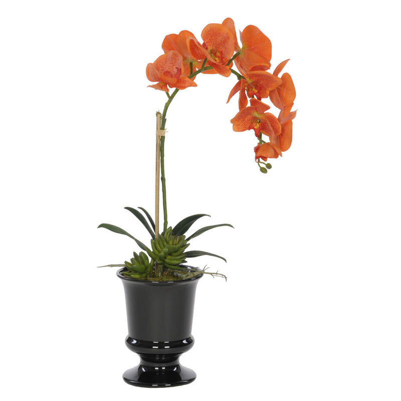 Artificial Phalaenopsis Orchid in Black Ceramic Urn - House of Silk Flowers®
 - 5
