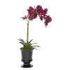 Artificial Phalaenopsis Orchid in Black Ceramic Urn - House of Silk Flowers®
 - 6