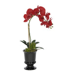 Artificial Phalaenopsis Orchid in Black Ceramic Urn - House of Silk Flowers®
 - 1