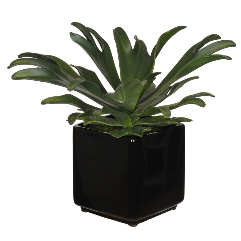 Artificial Staghorn Succulent in Cube Ceramic - House of Silk Flowers®
 - 1