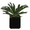 Artificial Staghorn Succulent in Cube Ceramic - House of Silk Flowers®
 - 2