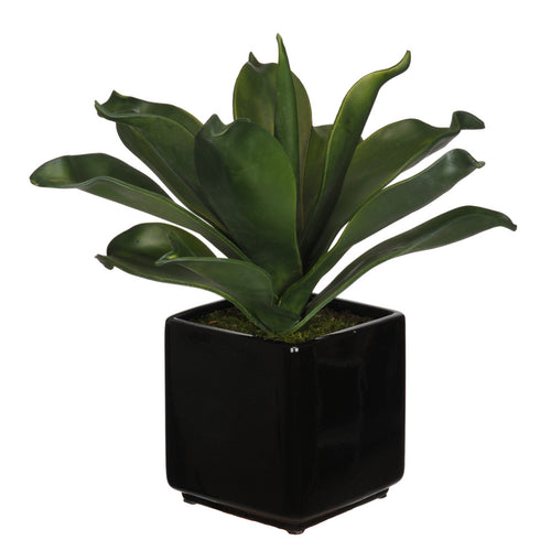 Artificial Agave Succulent in Cube Ceramic - House of Silk Flowers®
 - 1