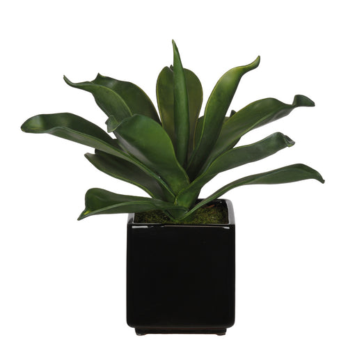 Artificial Agave Succulent in Cube Ceramic - House of Silk Flowers®
 - 2