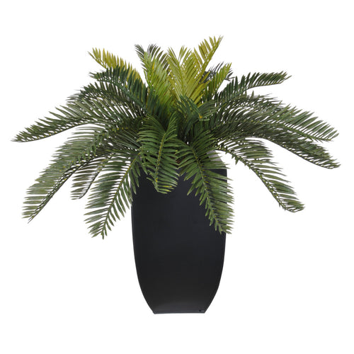 Artificial Cycas Palm in Black Zinc - House of Silk Flowers®
 - 2
