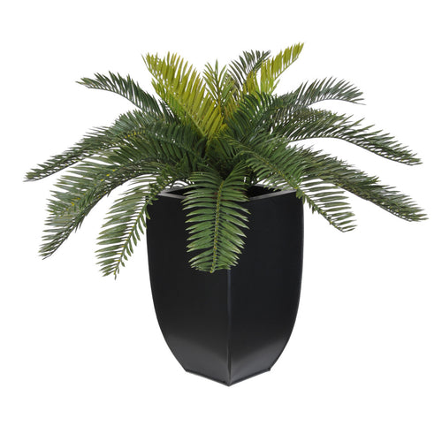 Artificial Cycas Palm in Black Zinc - House of Silk Flowers®
 - 1
