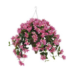 Hanging basket with pink flowers on a white background