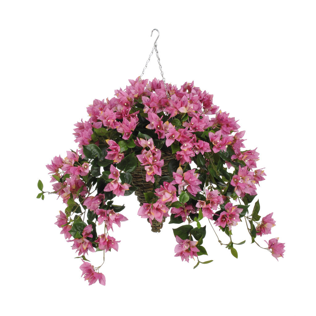 Hanging basket with pink flowers on a white background